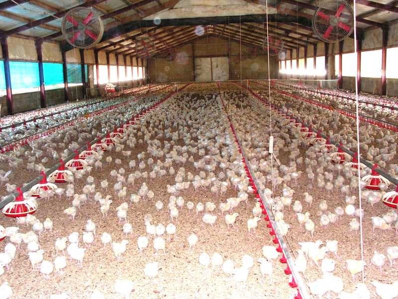 485 Evans Road, Cockatoo VIC 3781