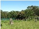 167 Red Road, Gembrook VIC 3783