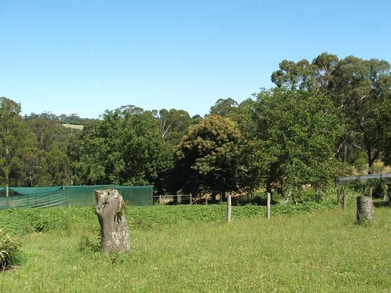 167 Red Road, Gembrook VIC 3783