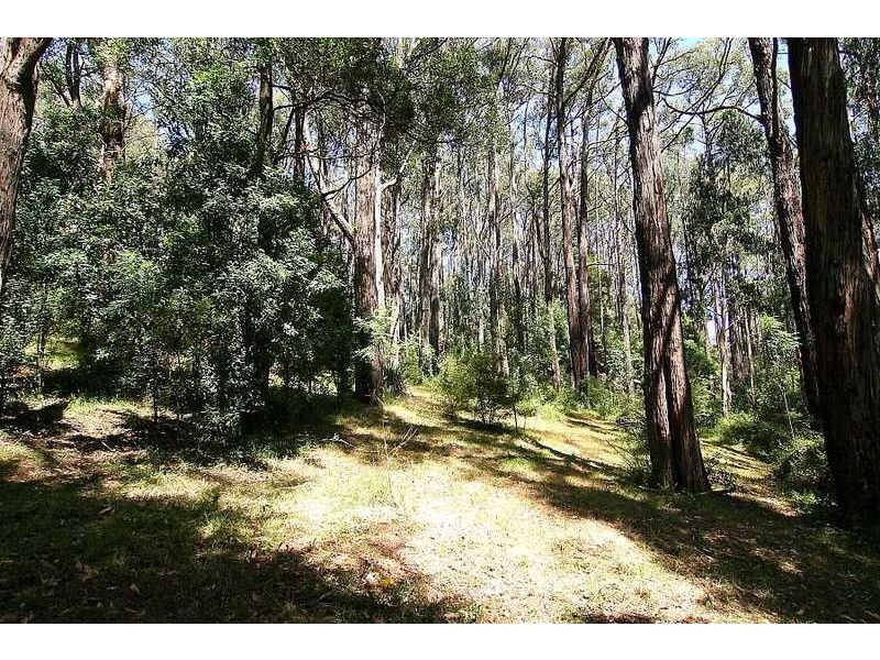45 Emerald Monbulk Road, Emerald VIC 3782