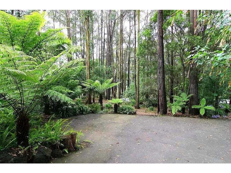 22 The Avenue, Gembrook VIC 3783