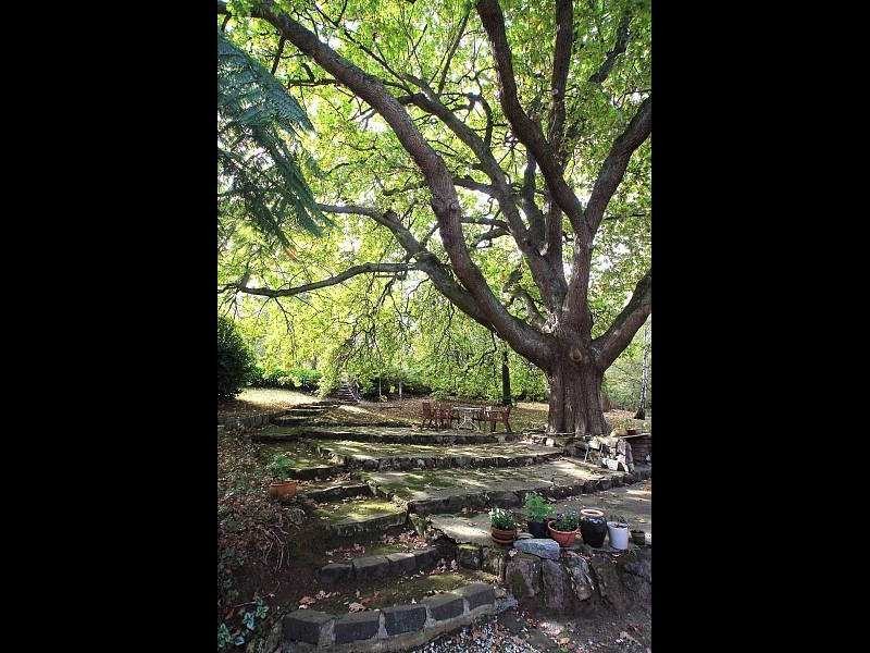 11 Lakeside Drive, Emerald VIC 3782