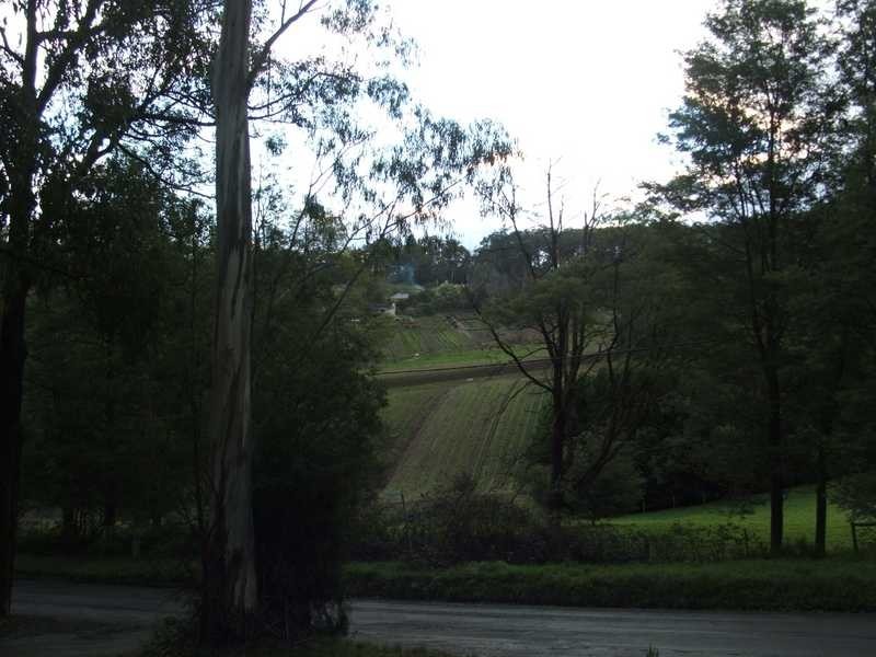 13 Wright Road, Avonsleigh VIC 3782