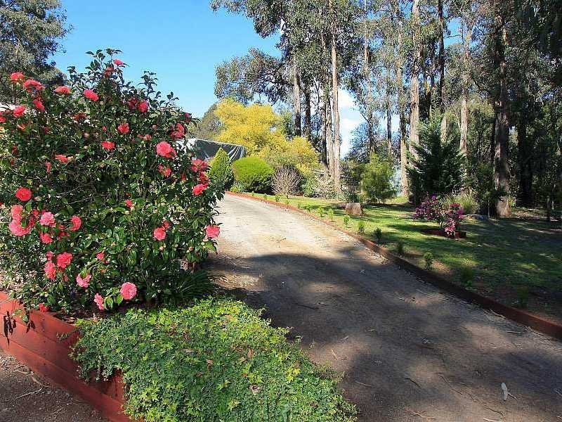 43 Williamson Road, Gembrook VIC 3783