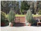 43 Williamson Road, Gembrook VIC 3783
