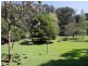 42 Steel Road, Emerald VIC 3782
