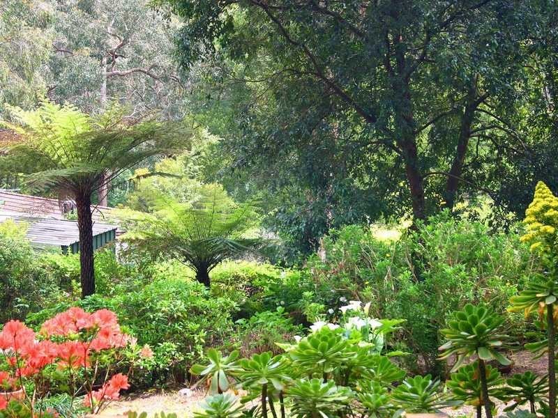 6 Victor Road, Clematis VIC 3782