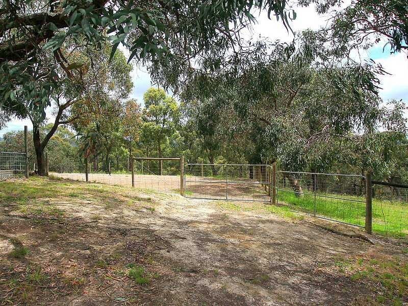 58 Paton Road, Macclesfield VIC 3782