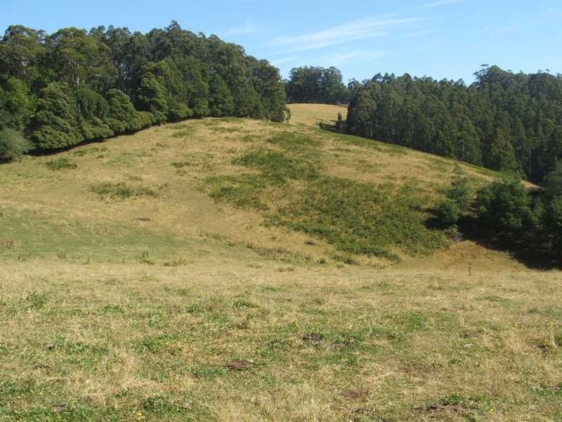 Lot 58 Grey Road, Gembrook VIC 3783