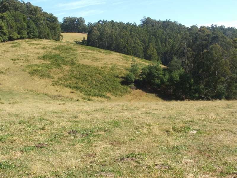 Lot 58 Grey Road, Gembrook VIC 3783