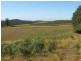 Lot 58 Grey Road, Gembrook VIC 3783