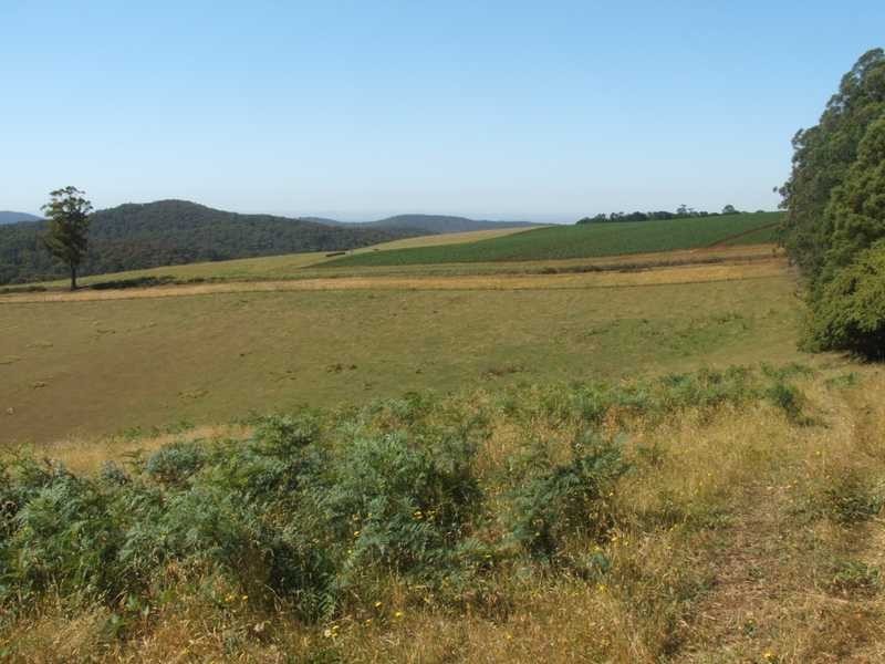 Lot 58 Grey Road, Gembrook VIC 3783