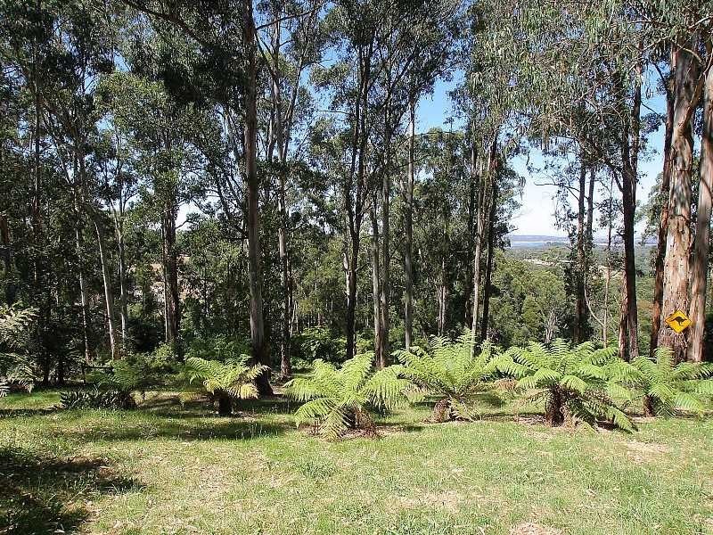 82 Menzies Road, Menzies Creek VIC 3159
