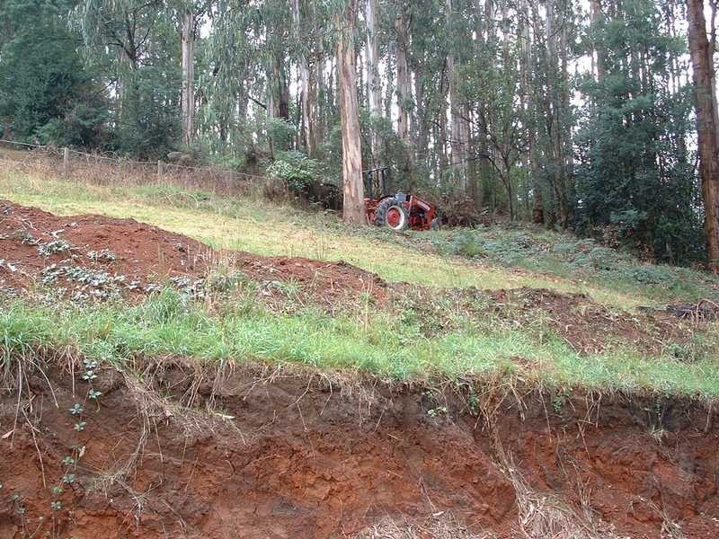 5 Lowen Road, Cockatoo VIC 3781