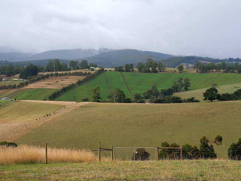 185 Mountain Road, Gembrook VIC 3783