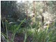 Lot 2 / 155 Stewart Road, Emerald VIC 3782