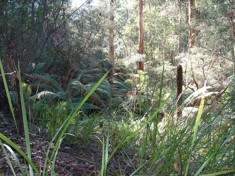 Lot 2 / 155 Stewart Road, Emerald VIC 3782