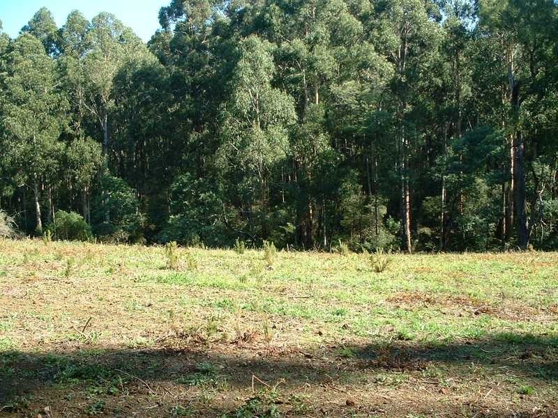 Lot 2 / 155 Stewart Road, Emerald VIC 3782