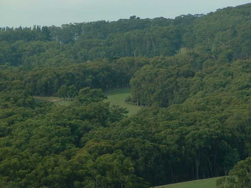 324 Evans Road, Nangana VIC 3781