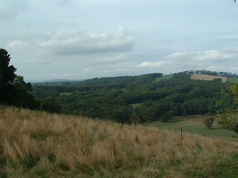 324 Evans Road, Nangana VIC 3781