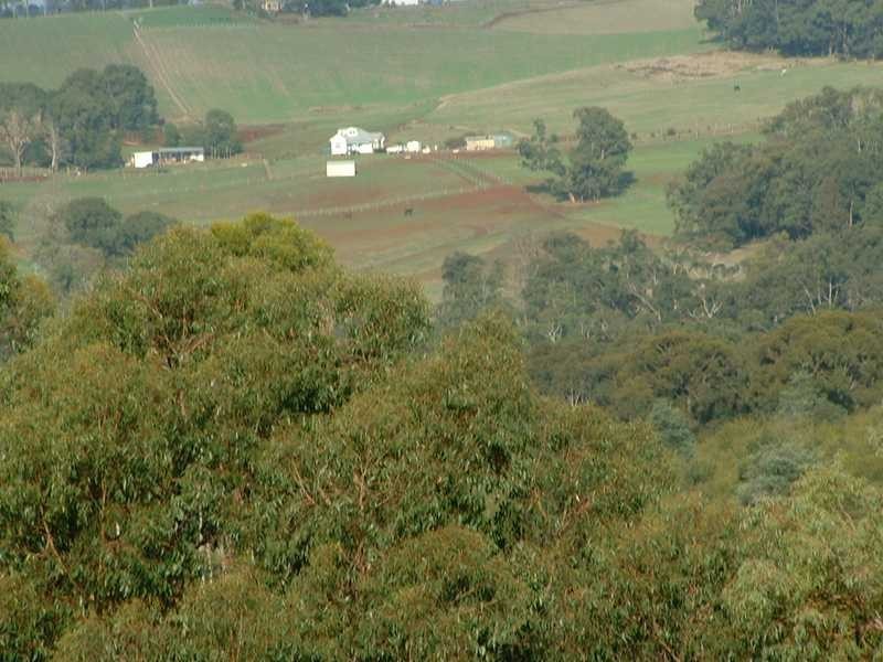 324 Evans Road, Nangana VIC 3781