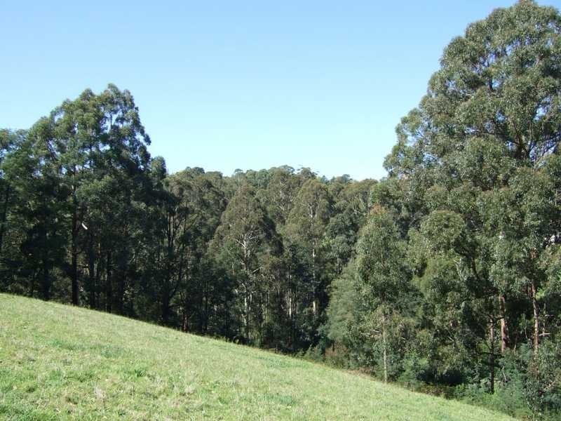 9A Old Beaconsfield Road, Emerald VIC 3782
