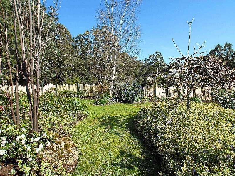 695 Beenak East Rd, Gembrook VIC 3783