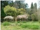 115 Gembrook Tonimbuk Road, Gembrook VIC 3783