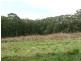 115 Gembrook Tonimbuk Road, Gembrook VIC 3783