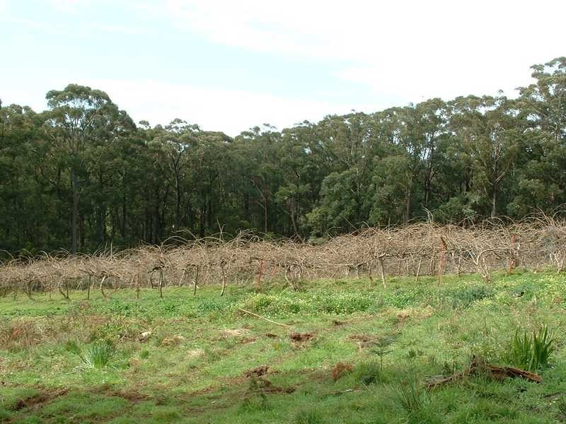 115 Gembrook Tonimbuk Road, Gembrook VIC 3783