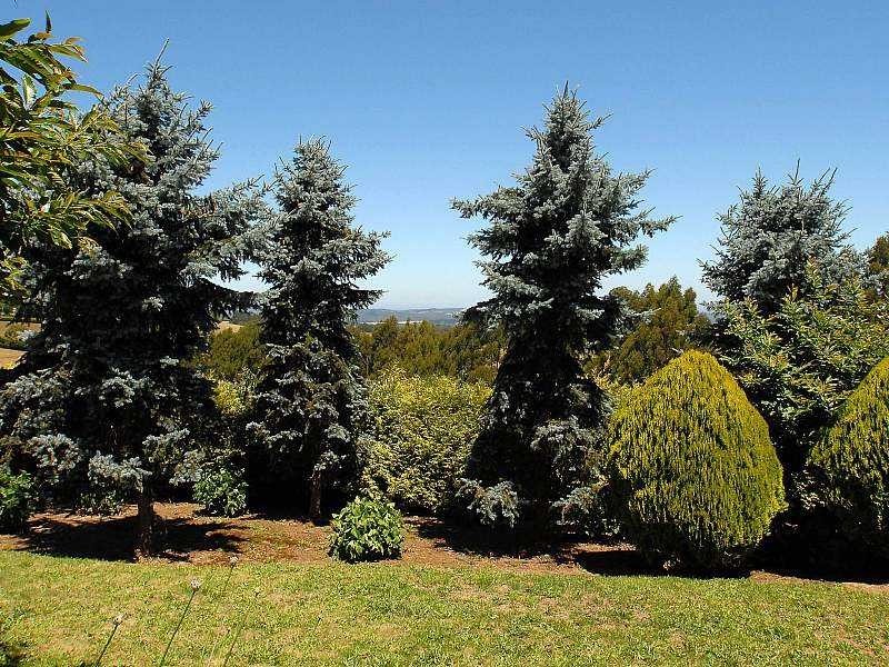 34 Ridge Road, Kallista VIC 3791