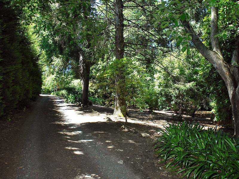 34 Ridge Road, Kallista VIC 3791