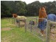 195 Macclesfield Road, Macclesfield VIC 3782