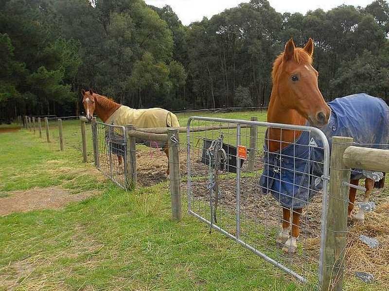 195 Macclesfield Road, Macclesfield VIC 3782