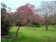 195 Macclesfield Road, Macclesfield VIC 3782