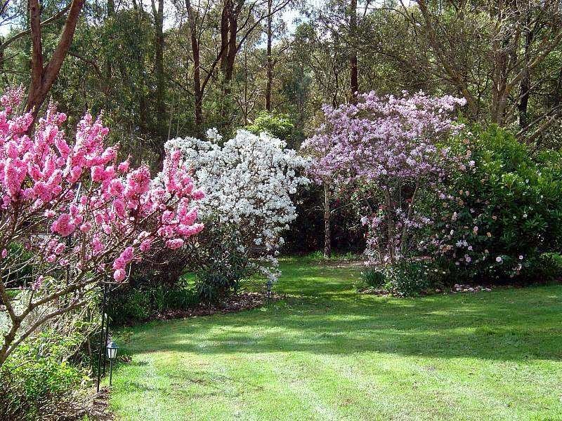 195 Macclesfield Road, Macclesfield VIC 3782