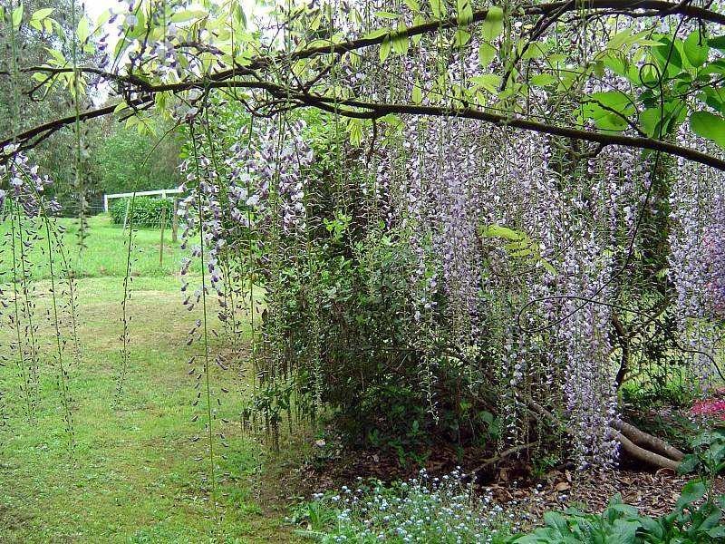 195 Macclesfield Road, Macclesfield VIC 3782