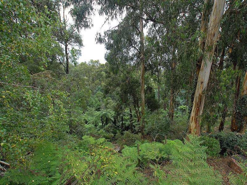 300 Belgrave Gembrook Road, Emerald VIC 3782