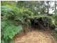 300 Belgrave Gembrook Road, Emerald VIC 3782