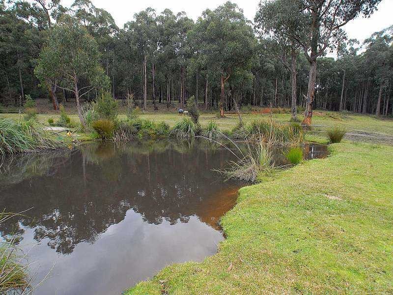 200 Soldiers Road, Gembrook VIC 3783