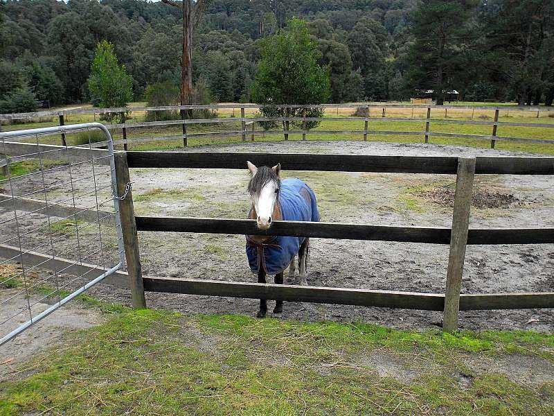 200 Soldiers Road, Gembrook VIC 3783