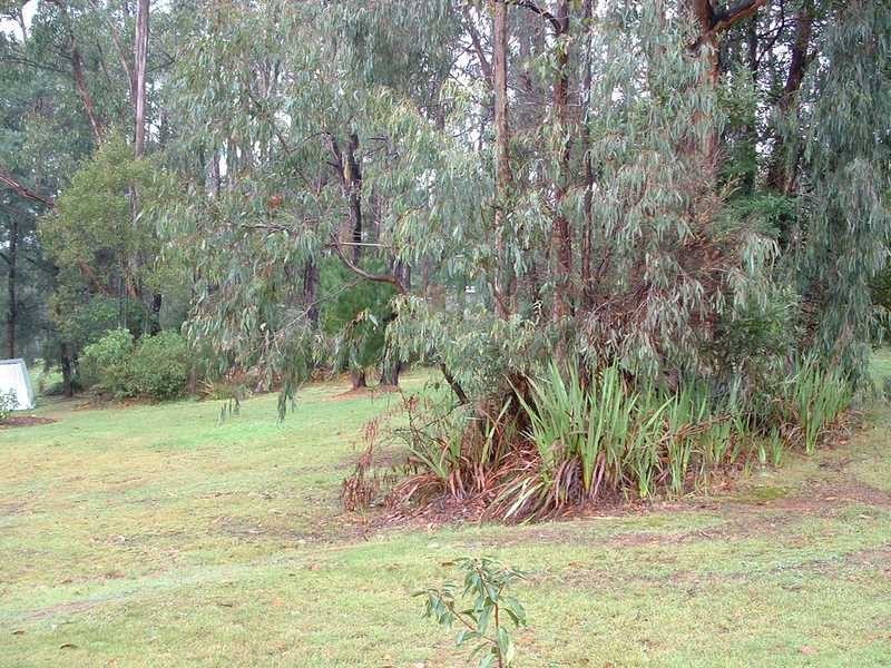 25 Bailey Road, Cockatoo VIC 3781