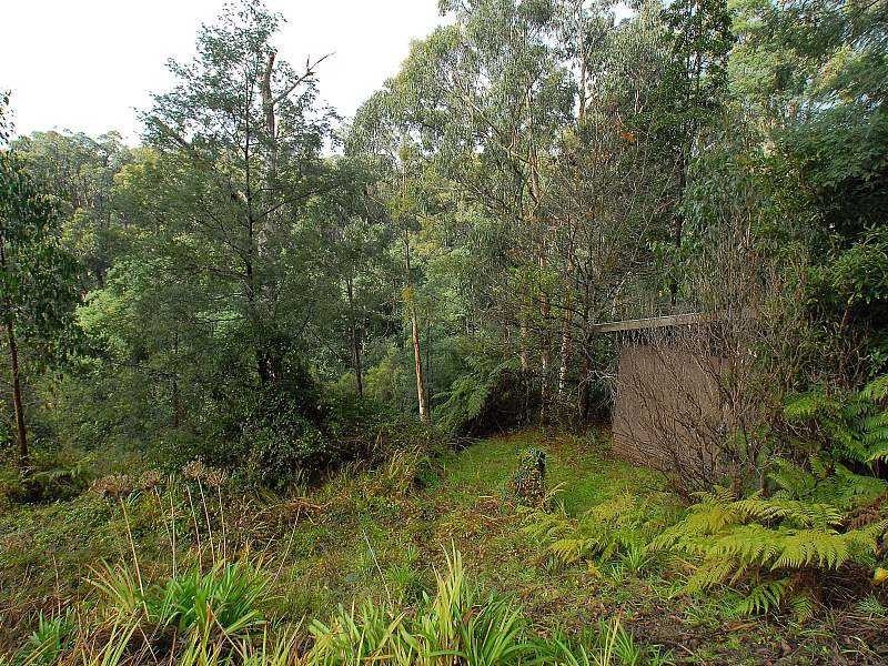 23 Ferngully Road, Cockatoo VIC 3781