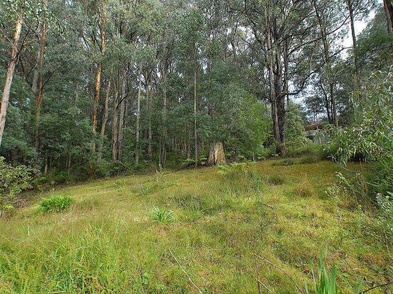 23 Ferngully Road, Cockatoo VIC 3781