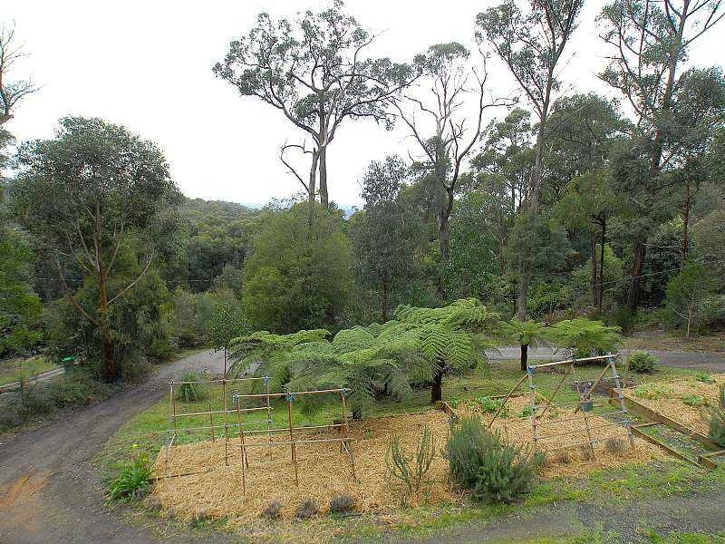 48 Bellbird Crescent, Emerald VIC 3782