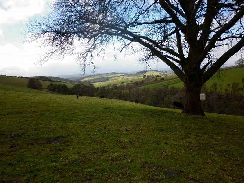 Lot 2 Mountain Road, Gembrook VIC 3783