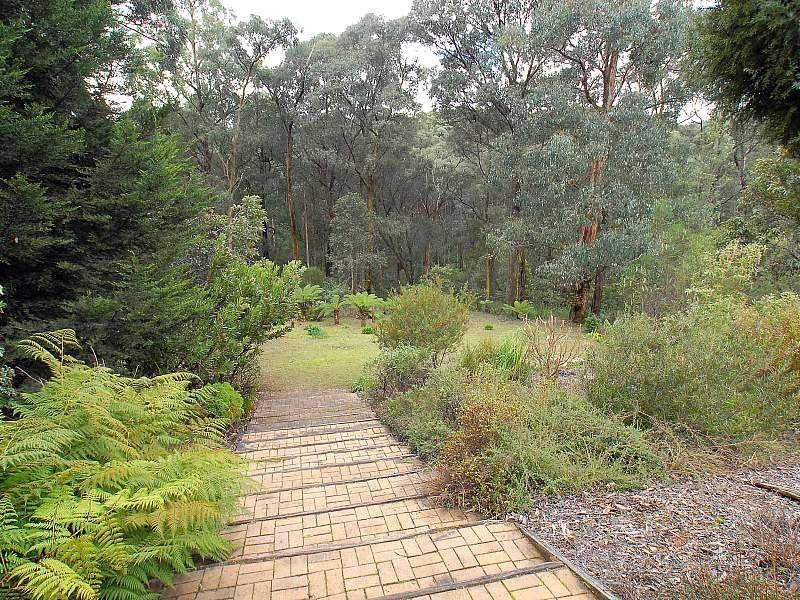 54 Livio Drive, Gembrook VIC 3783