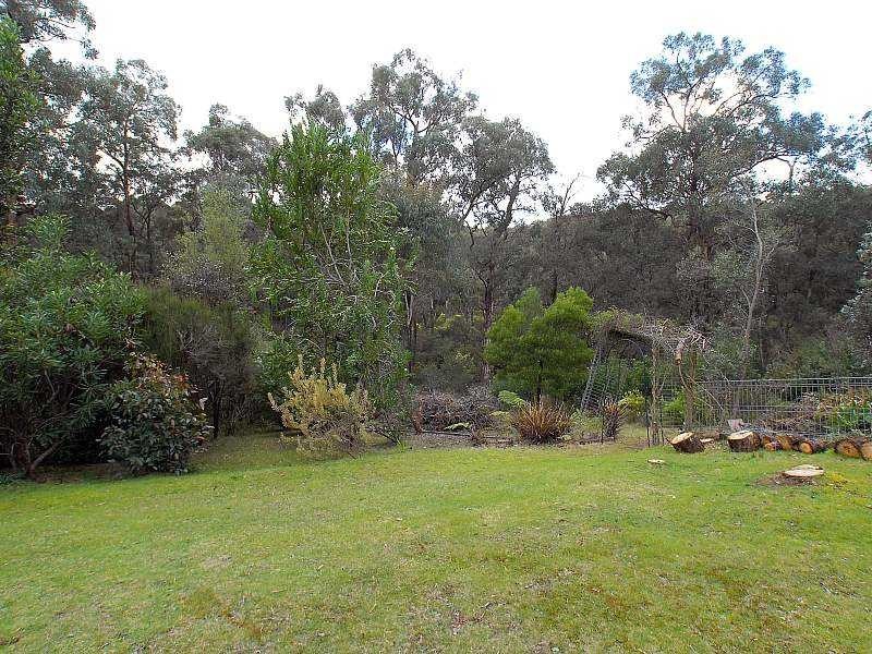 54 Livio Drive, Gembrook VIC 3783