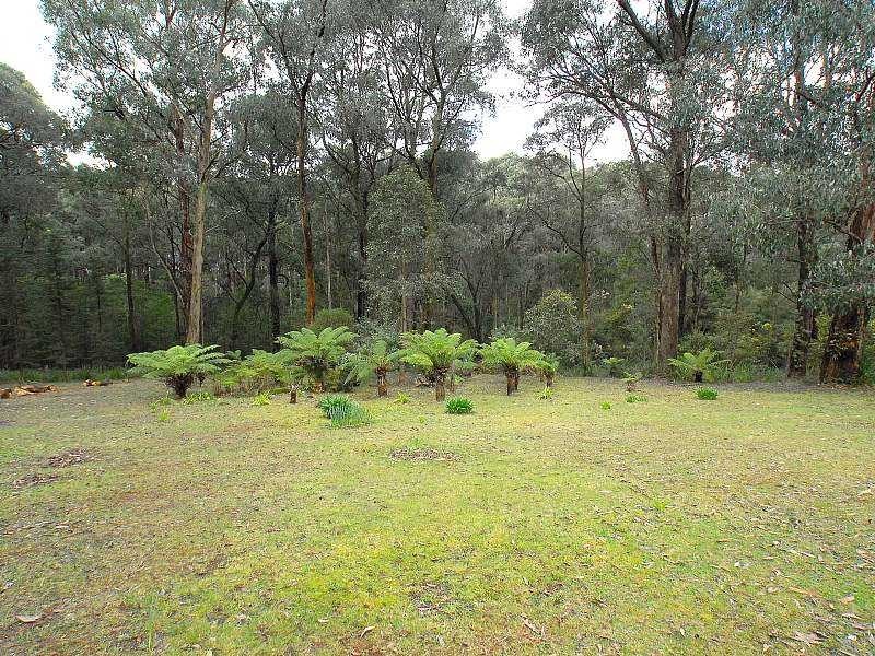 54 Livio Drive, Gembrook VIC 3783