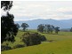 175 Beenak Road, Gembrook VIC 3783